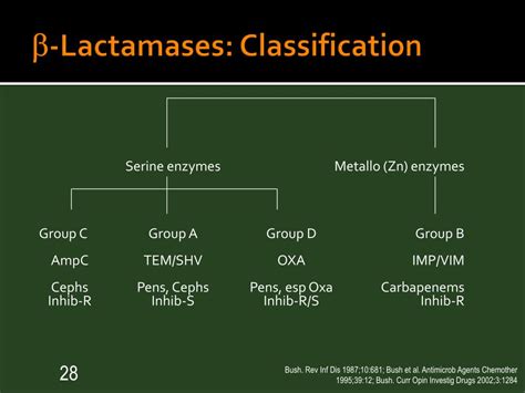 beta lactamases|Classification of β.